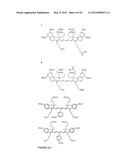 Molecular Adaptors for Dye Conjugates diagram and image