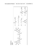 Molecular Adaptors for Dye Conjugates diagram and image