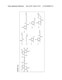 Molecular Adaptors for Dye Conjugates diagram and image