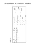 Molecular Adaptors for Dye Conjugates diagram and image