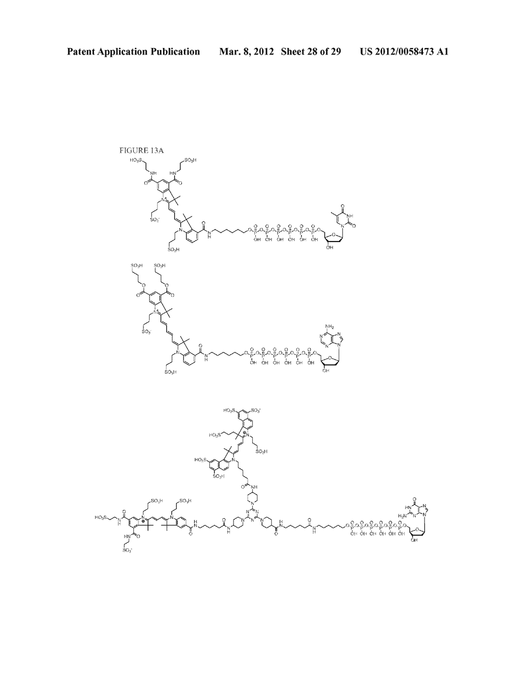 Molecular Adaptors for Dye Conjugates - diagram, schematic, and image 29