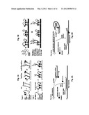 PROBE-ANTIPROBE COMPOSITIONS AND METHODS FOR DNA OR RNA DETECTION diagram and image