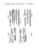 PROBE-ANTIPROBE COMPOSITIONS AND METHODS FOR DNA OR RNA DETECTION diagram and image