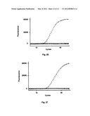 PROBE-ANTIPROBE COMPOSITIONS AND METHODS FOR DNA OR RNA DETECTION diagram and image