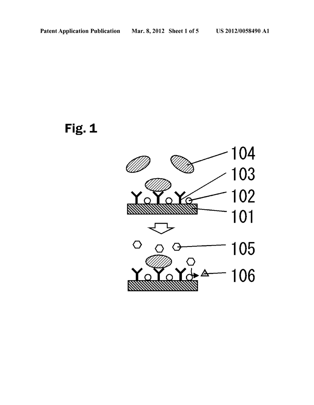 METHOD FOR DETECTING AN ANTIGEN - diagram, schematic, and image 02