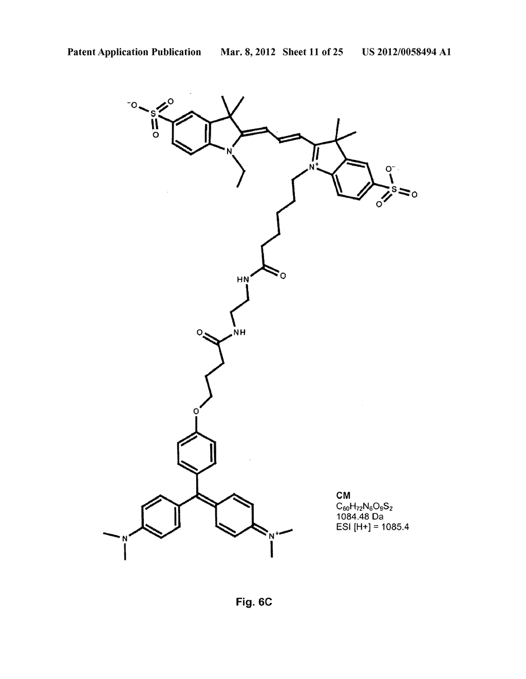 Quenched Dendrimeric Dyes for Florescence Detection - diagram, schematic, and image 12