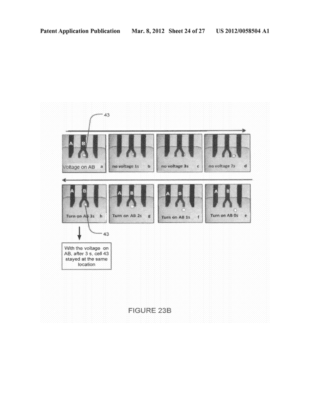 METHODS AND APPARATUS FOR DIELECTROPHORETIC SHUTTLING AND MEASUREMENT OF     SINGLE CELLS OR OTHER PARTICLES IN MICROFLUIDIC CHIPS - diagram, schematic, and image 25