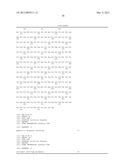 MUTANT MICROORGANISM AND METHOD FOR PRODUCING PEPTIDE USING THE SAME diagram and image