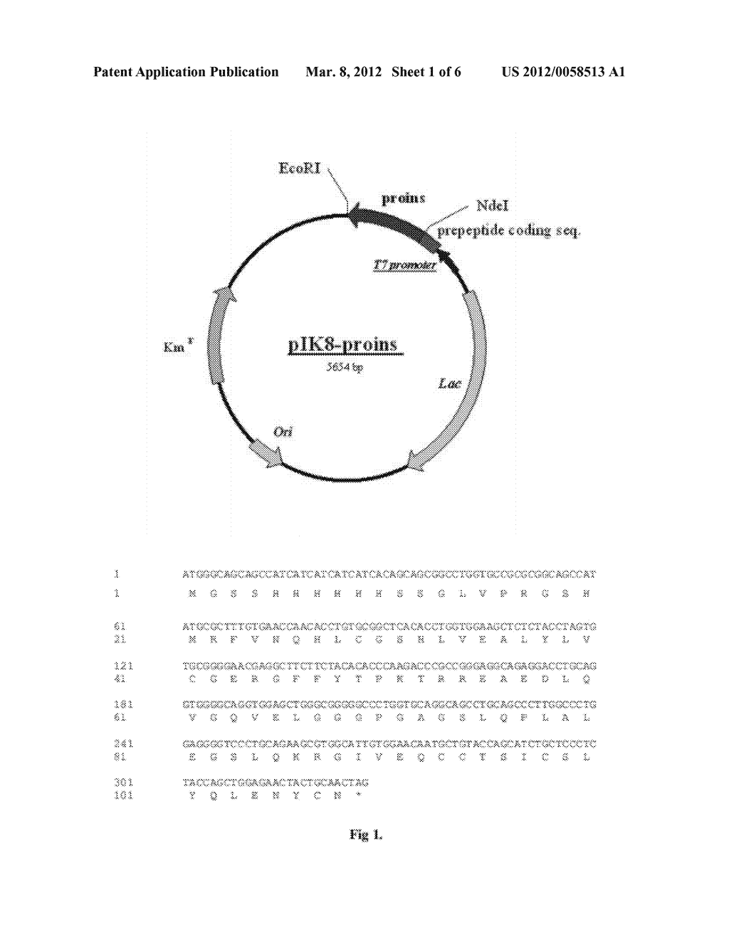 METHOD FOR PRODUCING HUMAN RECOMBINANT INSULIN - diagram, schematic, and image 02