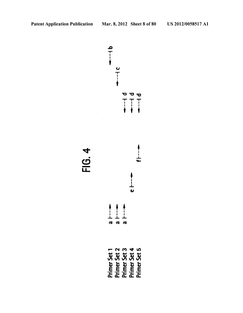 Recombinase Polymerase Amplification - diagram, schematic, and image 09