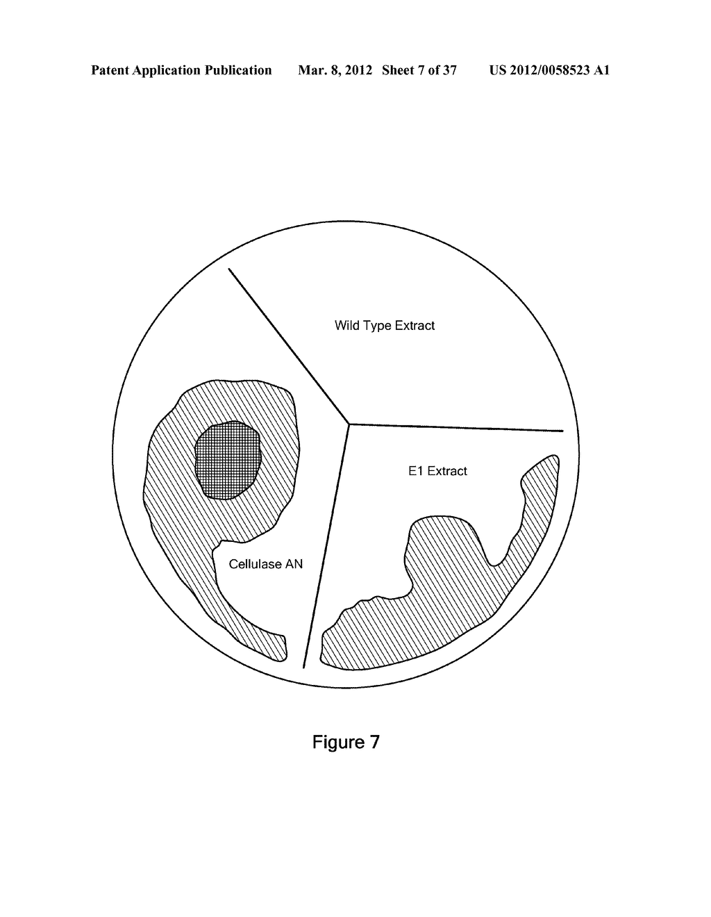 TEMPERING OF CELLULOSIC BIOMASS - diagram, schematic, and image 08