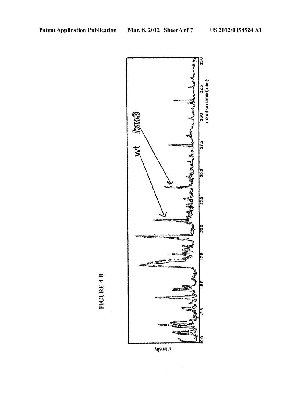 METHODS FOR INCREASING THE YIELD OF FERMENTABLE SUGARS FROM PLANT STOVER - diagram, schematic, and image 07