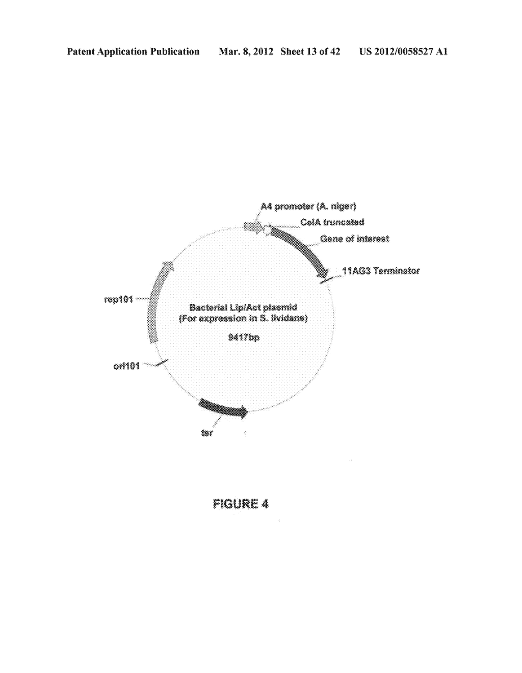 CAL A-RELATED ACYLTRANSFERASES AND METHODS OF USE, THEREOF - diagram, schematic, and image 14