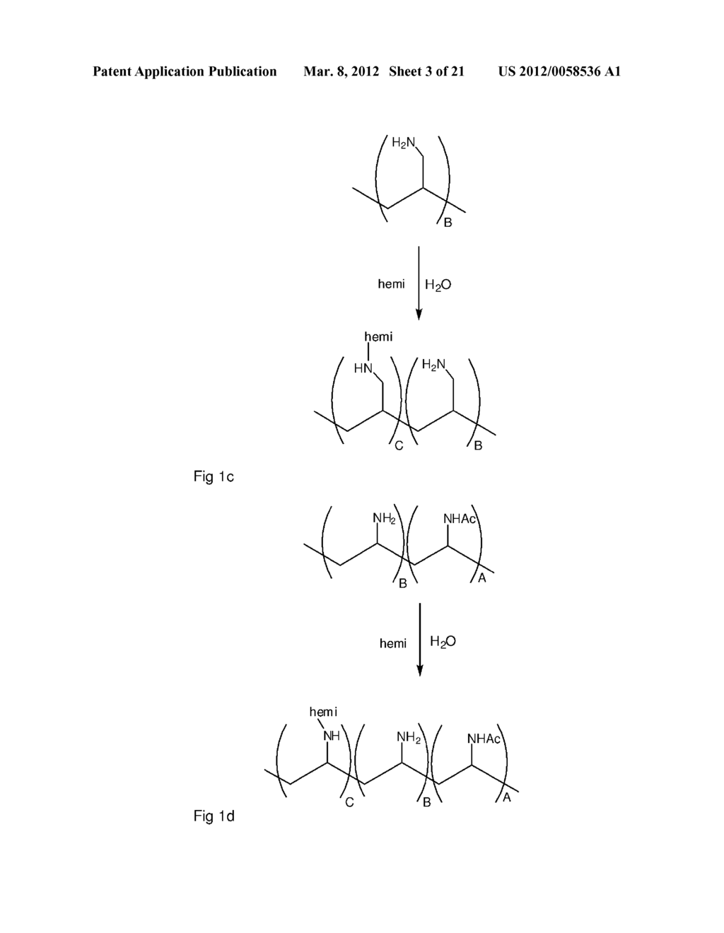 POLYMER MADE OF A PRIMARY AMINE FUNCTIONALIZED POLYMER AND A HEMICELLULOSE - diagram, schematic, and image 04