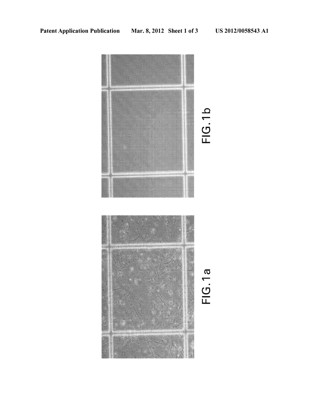 Purified Plasmodium and Vaccine Compositions - diagram, schematic, and image 02