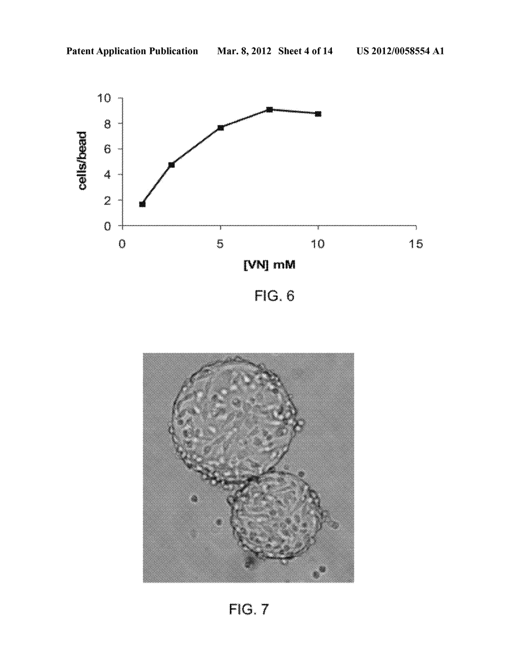 Synthetic Polysaccharide Microcarriers for Culturing Cells - diagram, schematic, and image 05