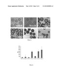 High Surface Area Substrate for Cell Culture diagram and image