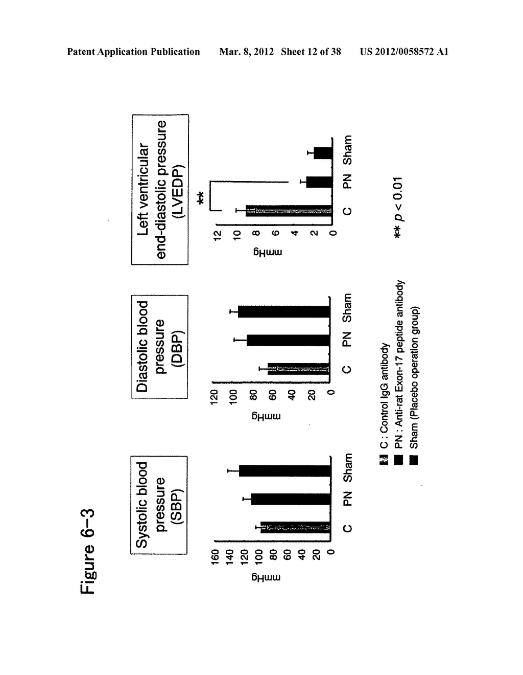 ANTIBODY AGAINST PERIOSTIN, AND A PHARMACEUTICAL COMPOSITION COMPRISING IT     FOR PREVENTING OR TREATING A DISEASE IN WHICH PERIOSTIN IS INVOLVED - diagram, schematic, and image 13