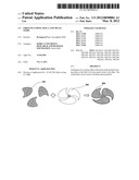 FIBER INCLUDING SILICA AND METAL OXIDE diagram and image