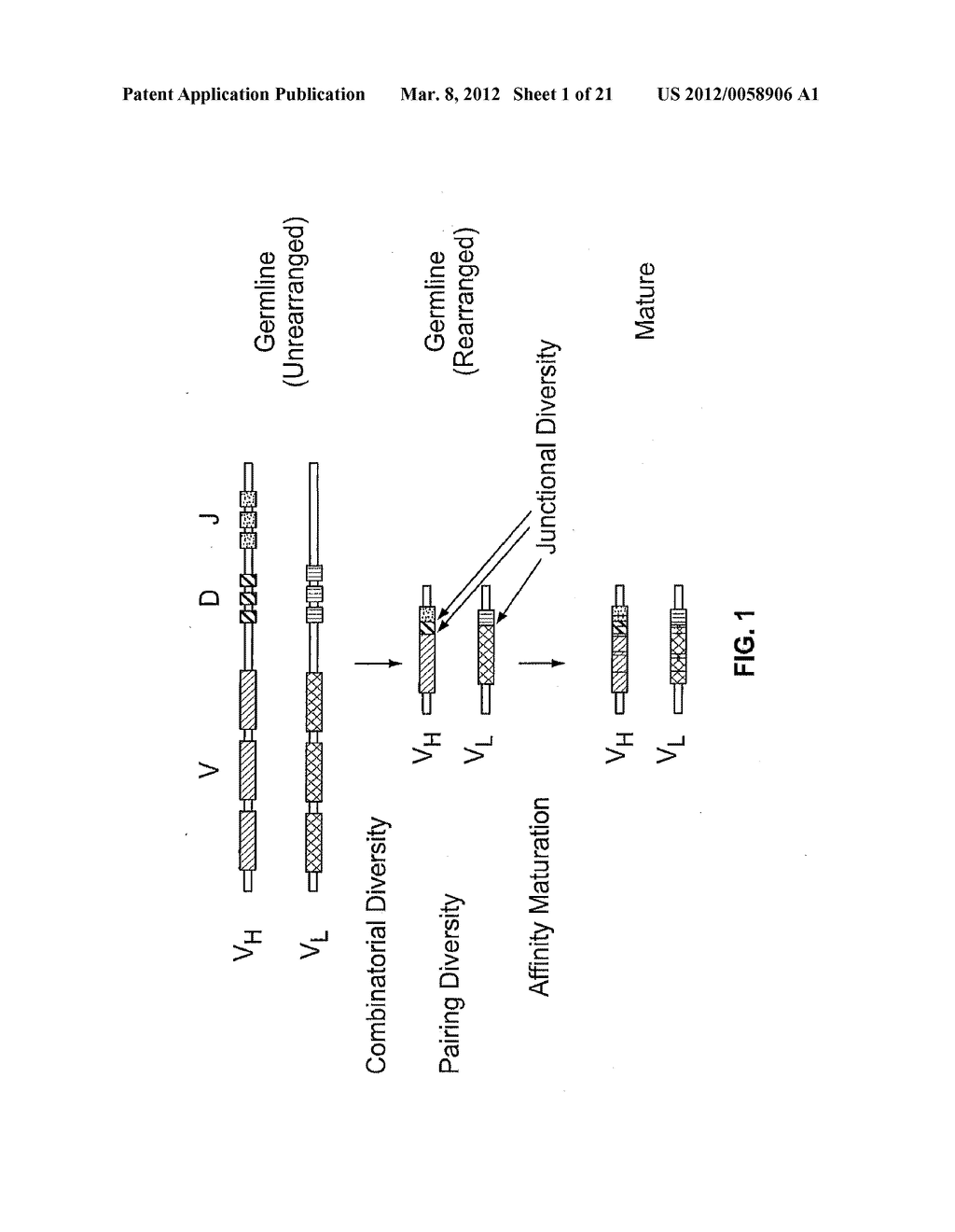 COMBINATORIAL ANTIBODY LIBRARIES AND USES THEREOF - diagram, schematic, and image 02