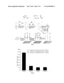 Universal Tags, Probes and Detection Methods For Multiple Targets     Detection of Biomolecules diagram and image