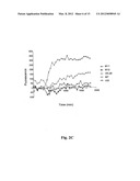 NEUROPROTECTIVE IRON CHELATORS AND PHARMACEUTICAL COMPOSITIONS COMPRISING     THEM diagram and image