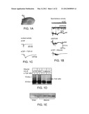 Methods of Treating Neurological Disorders diagram and image