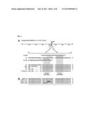 METHODS FOR DIAGNOSING AND TREATING SQUAMOUS CELL CARCINOMA UTILIZING     miRNA-205 AND INHIBITORS THEREOF diagram and image