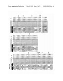 NOVEL ANTI-INFLAMMATORY COMPOUNDS diagram and image