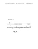 STABILIZED BIOACTIVE PEPTIDES AND METHODS OF IDENTIFICATION, SYNTHESIS,     AND USE diagram and image