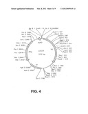 STABILIZED BIOACTIVE PEPTIDES AND METHODS OF IDENTIFICATION, SYNTHESIS,     AND USE diagram and image