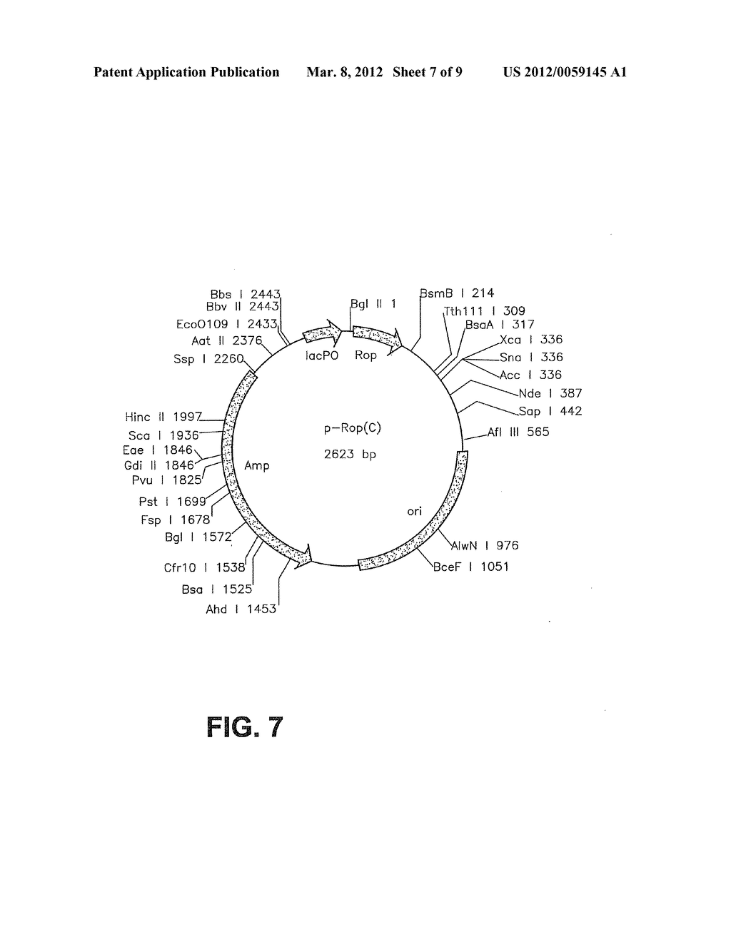 STABILIZED BIOACTIVE PEPTIDES AND METHODS OF IDENTIFICATION, SYNTHESIS,     AND USE - diagram, schematic, and image 08