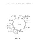 STABILIZED BIOACTIVE PEPTIDES AND METHODS OF IDENTIFICATION, SYNTHESIS,     AND USE diagram and image