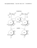 METHODS FOR THE PRODUCTION OF APOLIPOPROTEINS IN TRANSGENIC PLANTS diagram and image