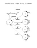 METHODS FOR THE PRODUCTION OF APOLIPOPROTEINS IN TRANSGENIC PLANTS diagram and image