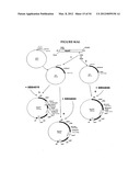 METHODS FOR THE PRODUCTION OF APOLIPOPROTEINS IN TRANSGENIC PLANTS diagram and image