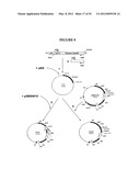 METHODS FOR THE PRODUCTION OF APOLIPOPROTEINS IN TRANSGENIC PLANTS diagram and image