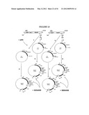 METHODS FOR THE PRODUCTION OF APOLIPOPROTEINS IN TRANSGENIC PLANTS diagram and image