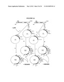 METHODS FOR THE PRODUCTION OF APOLIPOPROTEINS IN TRANSGENIC PLANTS diagram and image