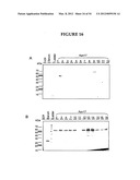 METHODS FOR THE PRODUCTION OF APOLIPOPROTEINS IN TRANSGENIC PLANTS diagram and image