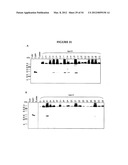 METHODS FOR THE PRODUCTION OF APOLIPOPROTEINS IN TRANSGENIC PLANTS diagram and image