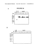 METHODS FOR THE PRODUCTION OF APOLIPOPROTEINS IN TRANSGENIC PLANTS diagram and image