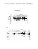 METHODS FOR THE PRODUCTION OF APOLIPOPROTEINS IN TRANSGENIC PLANTS diagram and image