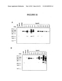 METHODS FOR THE PRODUCTION OF APOLIPOPROTEINS IN TRANSGENIC PLANTS diagram and image