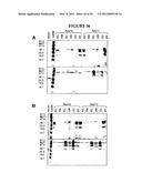 METHODS FOR THE PRODUCTION OF APOLIPOPROTEINS IN TRANSGENIC PLANTS diagram and image