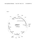 Method of Controlling O-Linked Glycosylation of Antibodies diagram and image