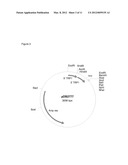 Method of Controlling O-Linked Glycosylation of Antibodies diagram and image