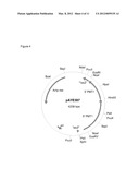 Method of Controlling O-Linked Glycosylation of Antibodies diagram and image