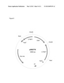 Method of Controlling O-Linked Glycosylation of Antibodies diagram and image