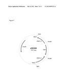 Method of Controlling O-Linked Glycosylation of Antibodies diagram and image